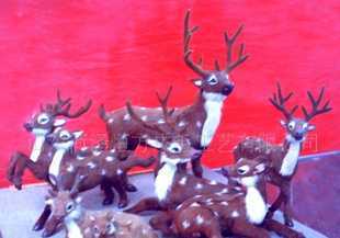 教學(xué)儀器的分類與應(yīng)用 從教具到動物標(biāo)本的全面解析